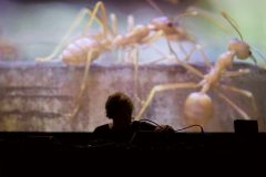 Biodiversitätsschow von Dominik Eulberg im Rahmen des Projektes "Stadtnatur - Berlin ökologisch denken"