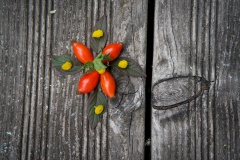 Mandala_Urania_20.9.23-21