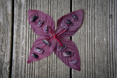 Mandala_Urania_20.9.23-22