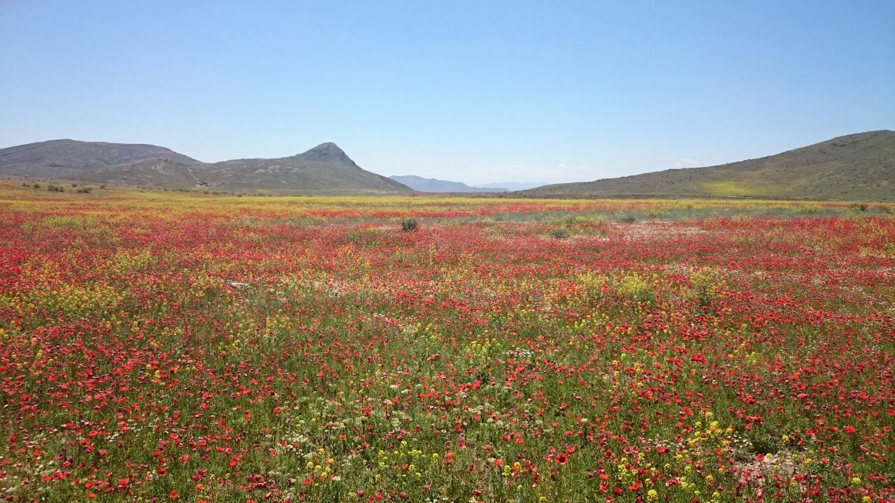 Культурный йога-тур по Армении 2018