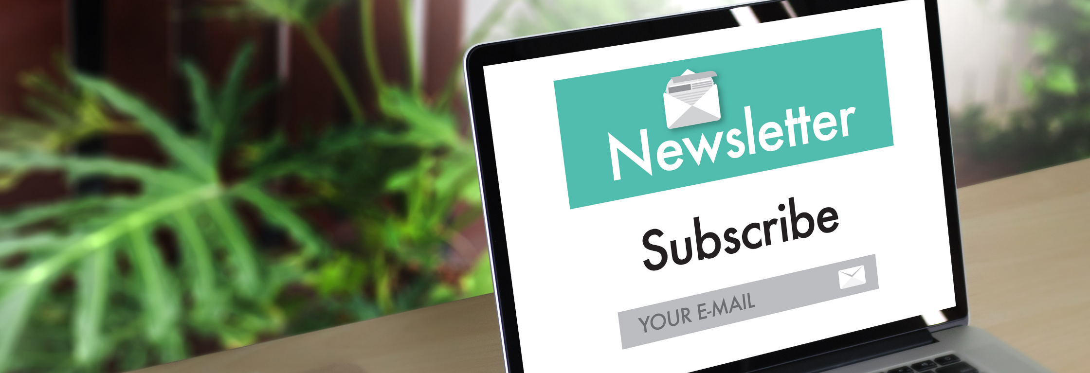 HAB 3 e1665094200935