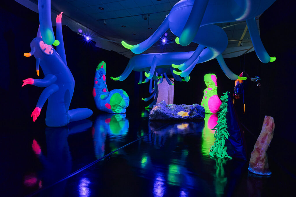 236265359 5012439778783098 4035600554141416129 n