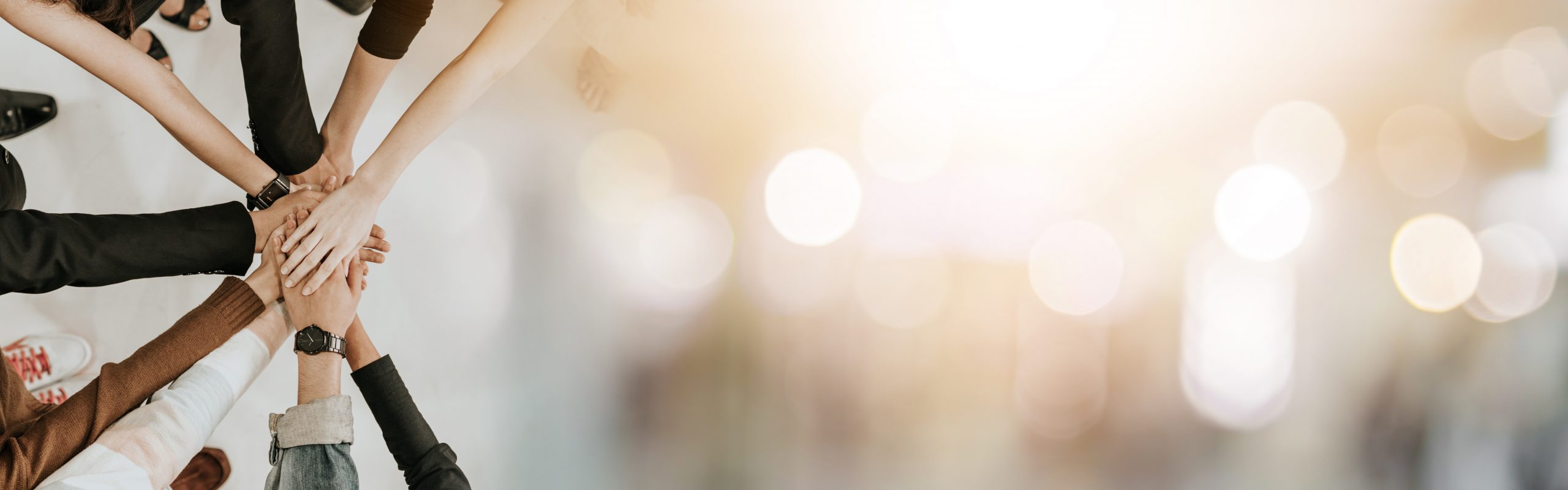 AdobeStock 307576574 scaled e1665093887139