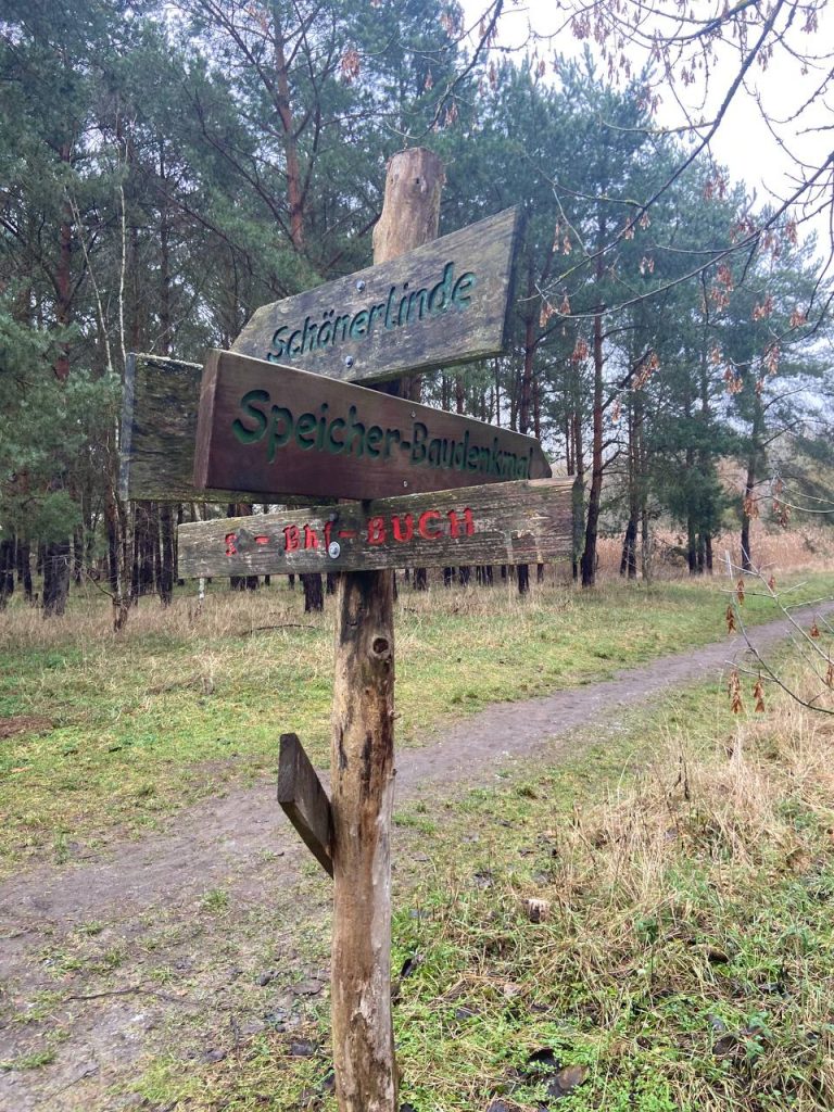 photo 2023 02 13 11 54 41