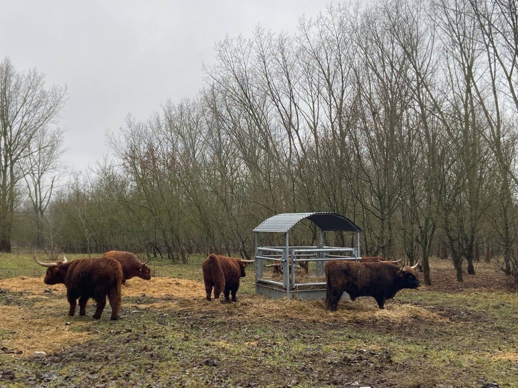 photo 2023 02 13 11 54 56