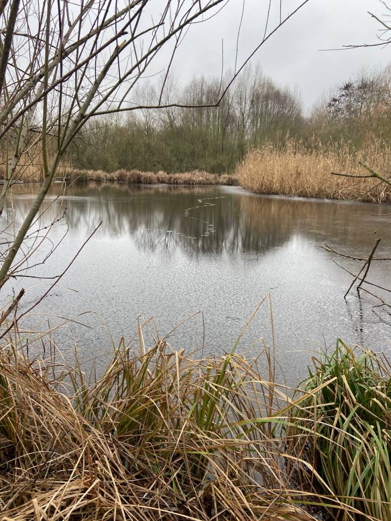 photo 2023 02 13 11 55 14