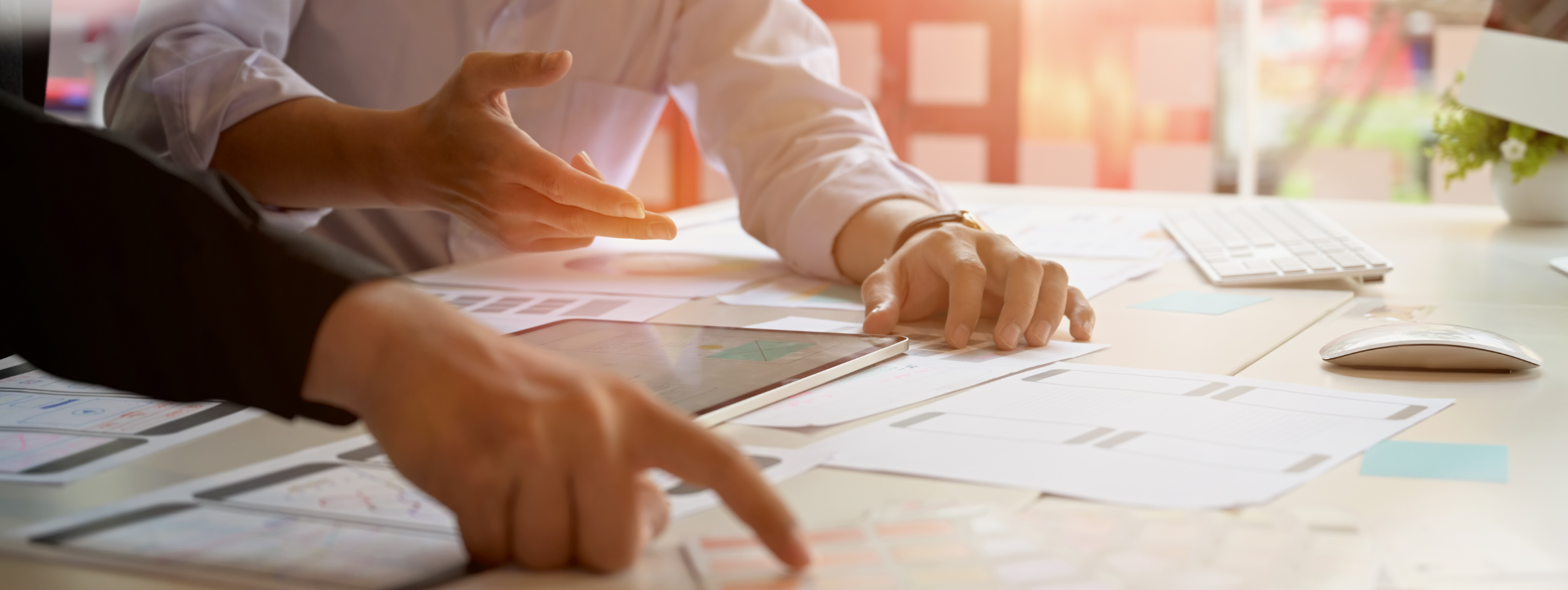 HAB 60 e1710424582840